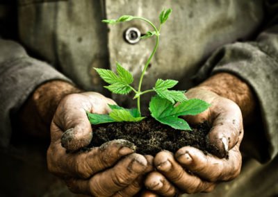 AgriBank – Branding, Website and Digital Marketing