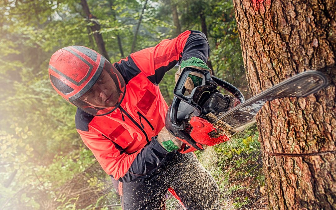 Aspen Fuels – Branding and Ecommerce Website