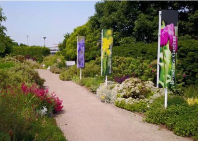 Broadview Gardens – Property Marketing