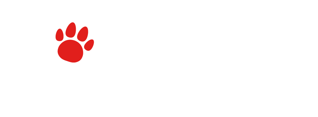 jolleys pet superstore photoshoot