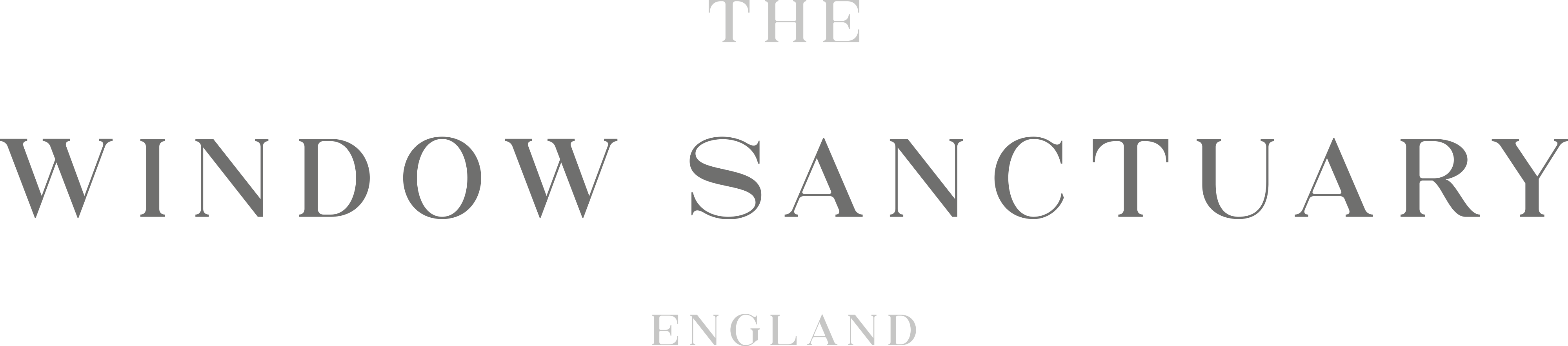 The Window Sanctuary Logo BLU